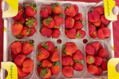 fragole